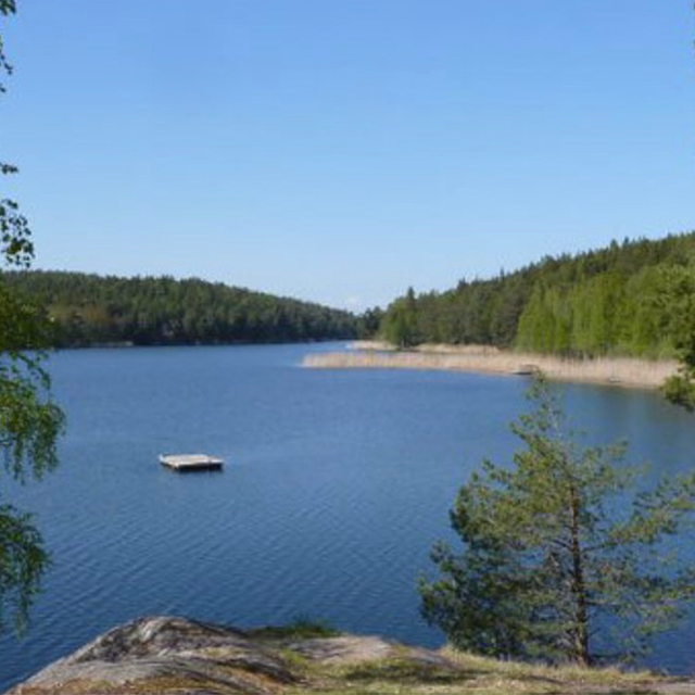 Utsikt från berg över sjön vid hunddagiset