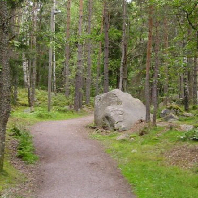 Promenadstig nära hunddagiset